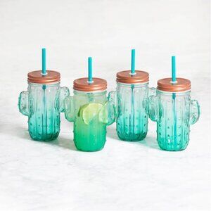 Chic & Tonic Sunrise Cactus Glasses Set Of 4 *EUC* MSRP: $36+tax - SOLD OUT!